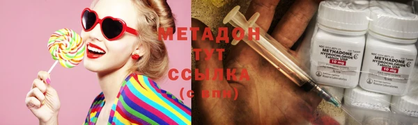 ПСИЛОЦИБИНОВЫЕ ГРИБЫ Вяземский