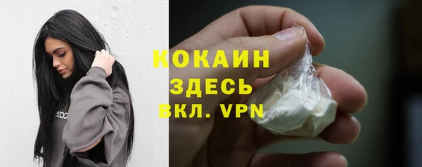 дживик Чердынь