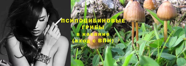 гашик Вязники